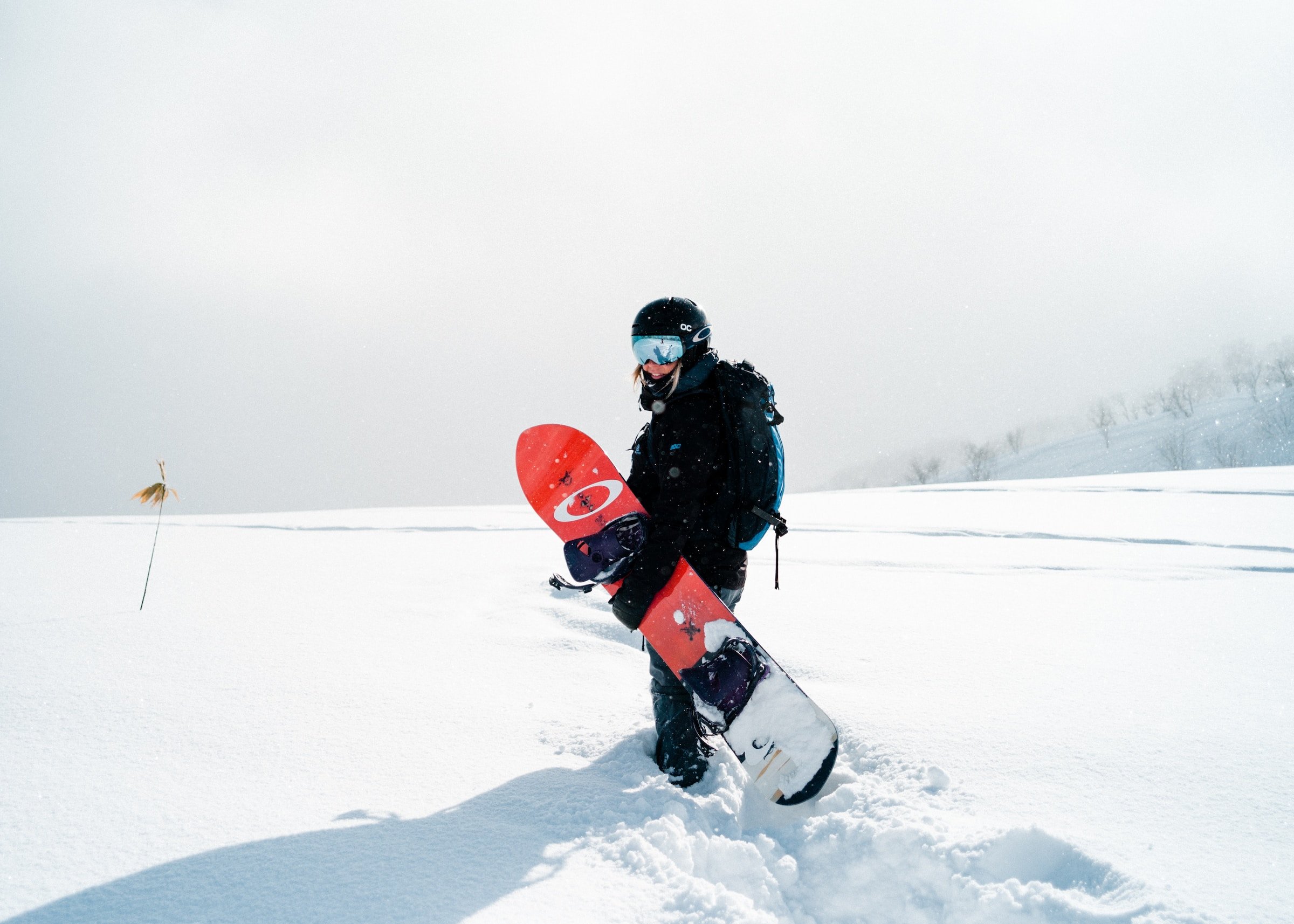 Moiwa Lodge, Niseko-chō, Japan